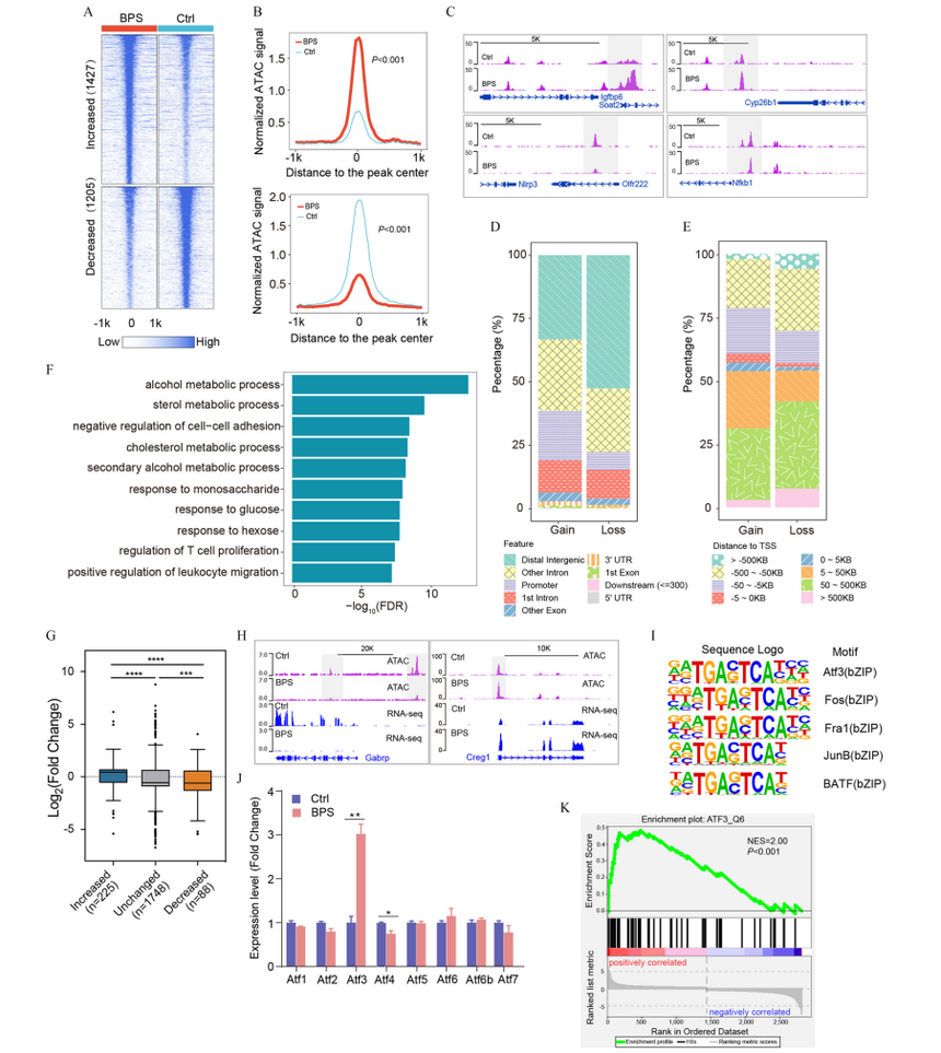 1754041120970893.png 图片9.png