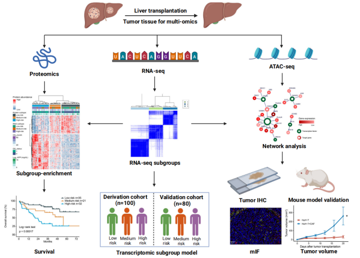 1754041218860305.png 图片6.png