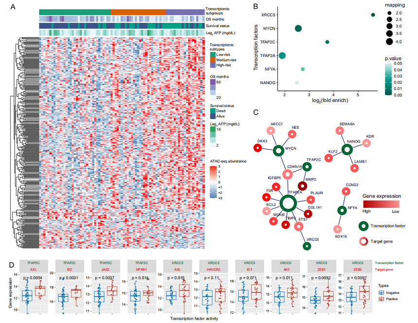 1754041229692457.png 图片7.png