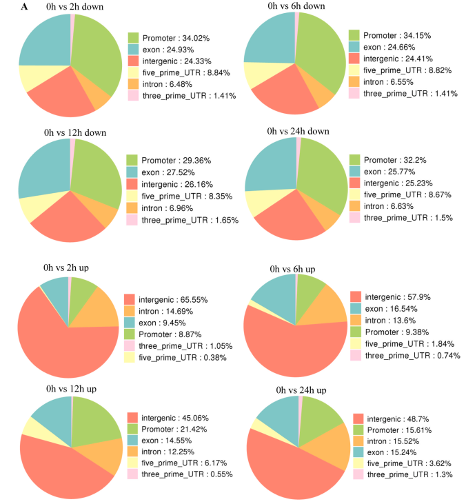 1755078130297644.png 图片5.png