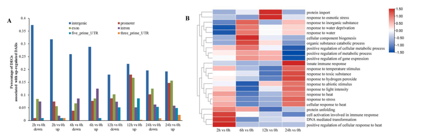 1755078170380709.png 图片7.png