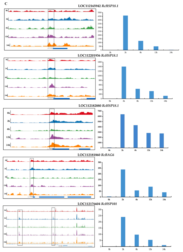 1755078186590488.png 图片8.png