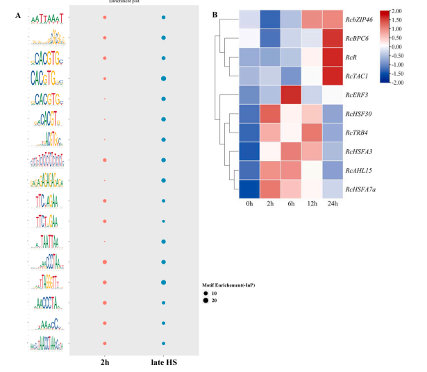 1755078210224374.png 图片9.png