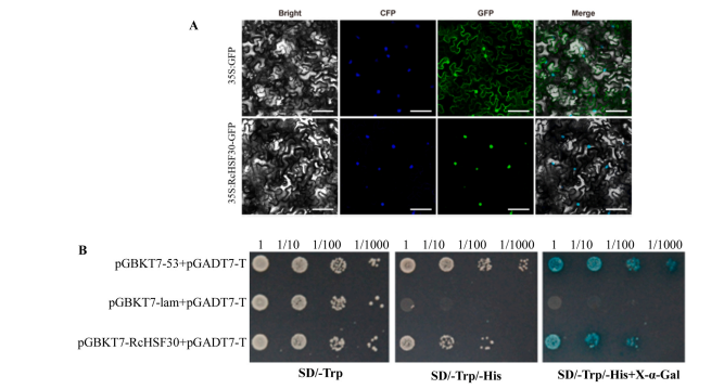 1755078241170382.png 图片12.png