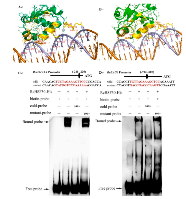 1755078253525068.png 图片13.png