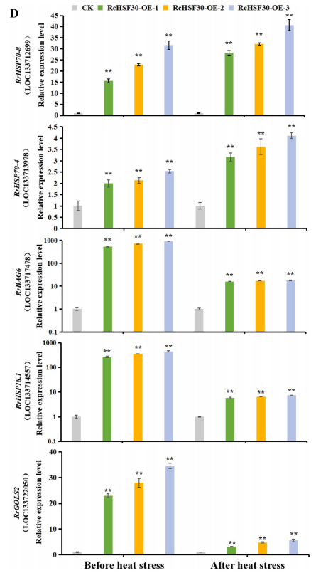 1755078285966328.png 图片15.png