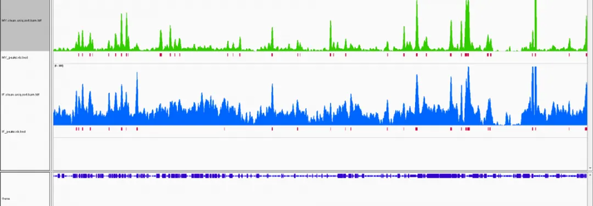 1755078556557164.png 02.png