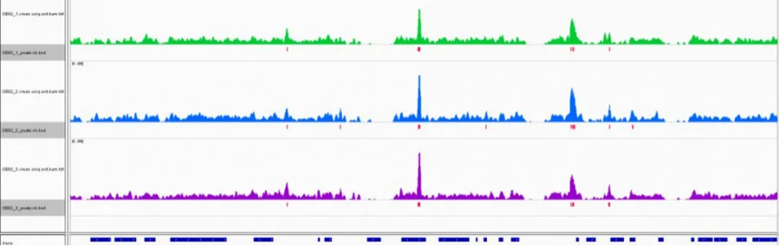 1755078564387506.png 03.png