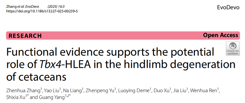 1755505548579097.png 图片1.png