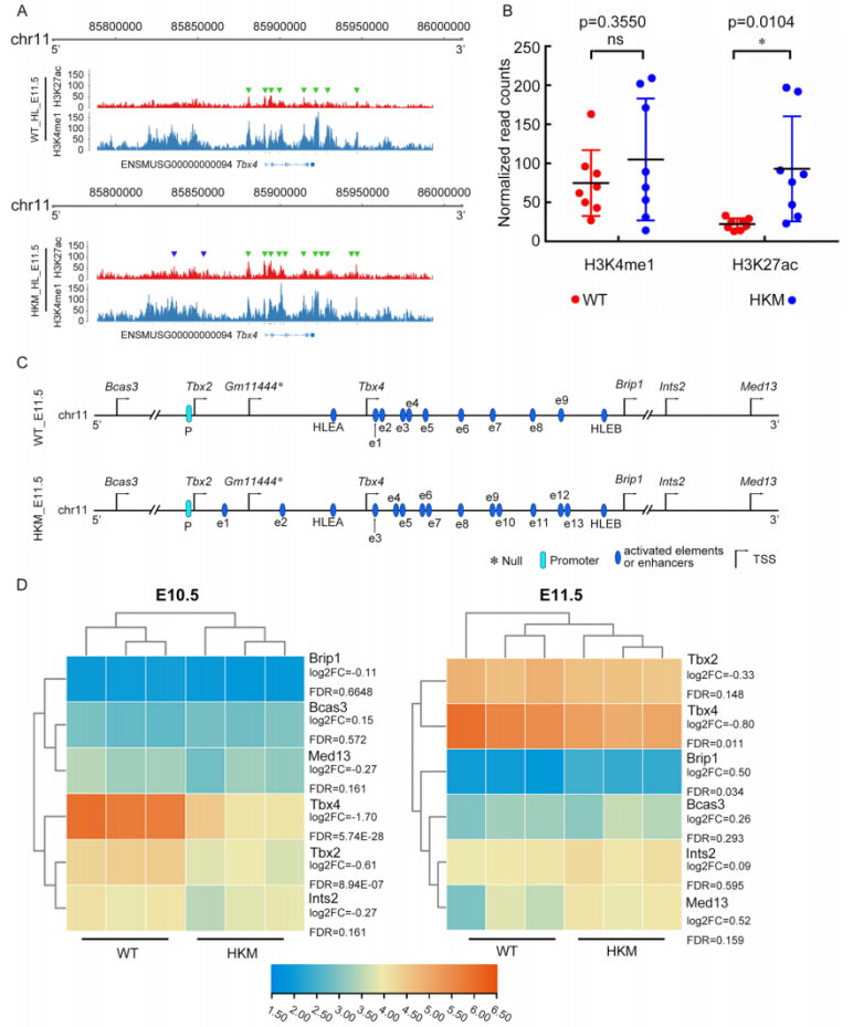 1755505571160817.png 图片4.png