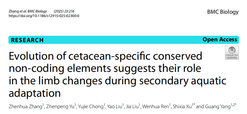 1755505581763072.png 图片5.png