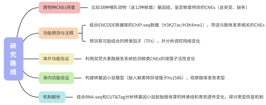 1755505603786876.png 图片7.png