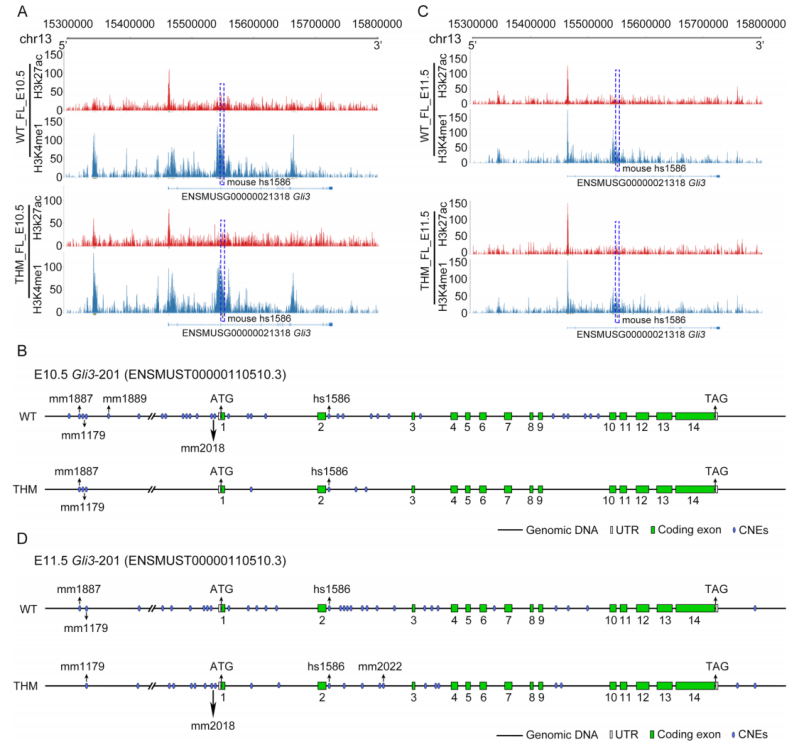 1755505627512819.png 图片8.png