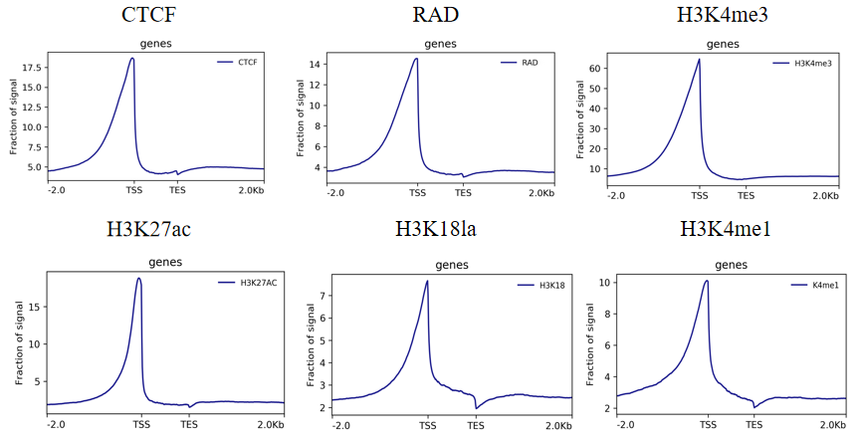 1755505699182686.png 640 (3).png