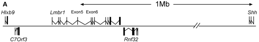 1755932600390205.png 图片1.png