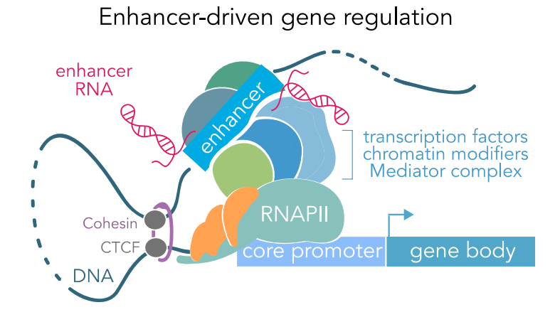 1755932642561271.png 图片2.png