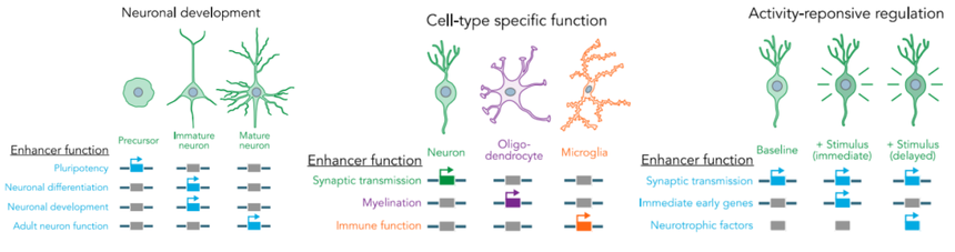 1755932652174817.png 图片3.png