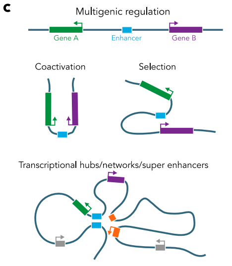 1755932664281795.png 图片4.png