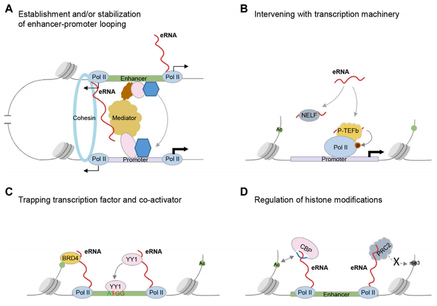 1755932675901439.png 图片5.png