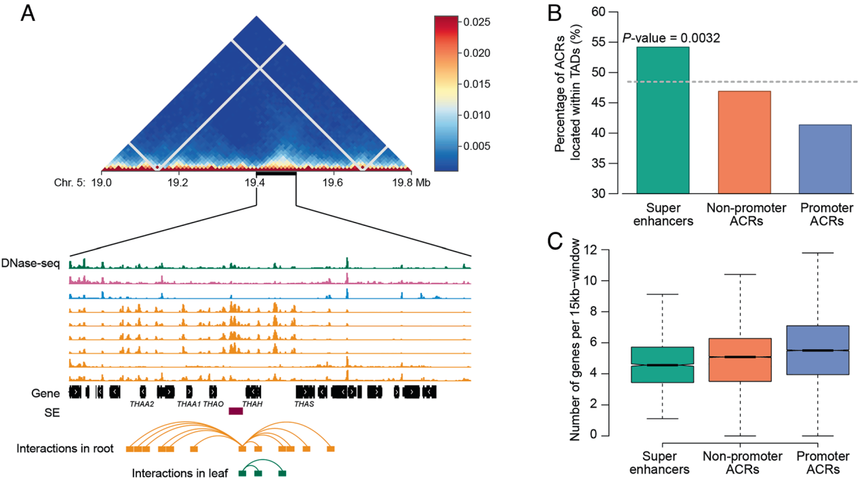 1755932688795488.png 图片6.png
