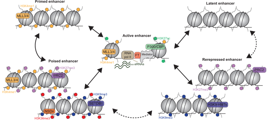 1755932725833640.png 图片8.png