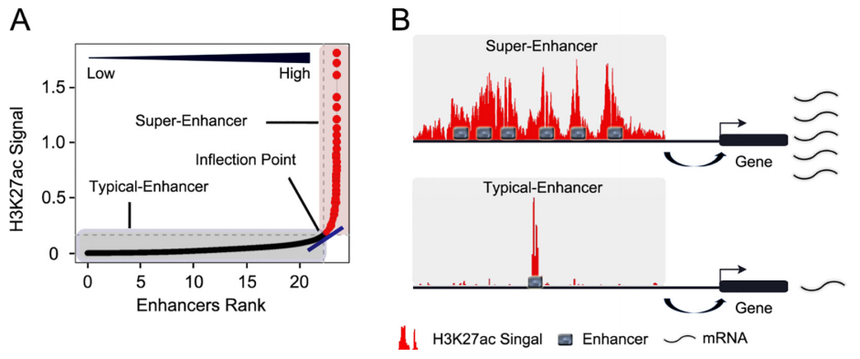 1755932747658447.png 图片10.png