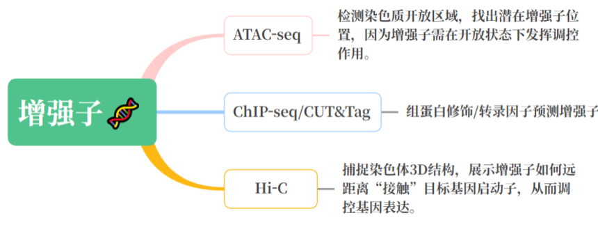 1755932760563760.png 图片11.png