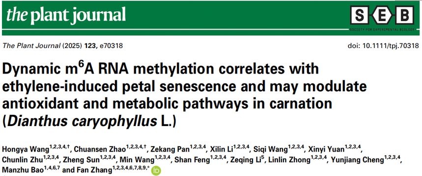 1756112570378479.png 图片1.png