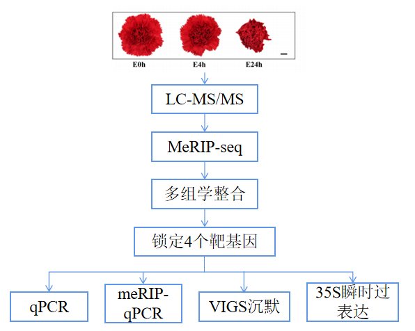 1756112611232112.png 图片2.png