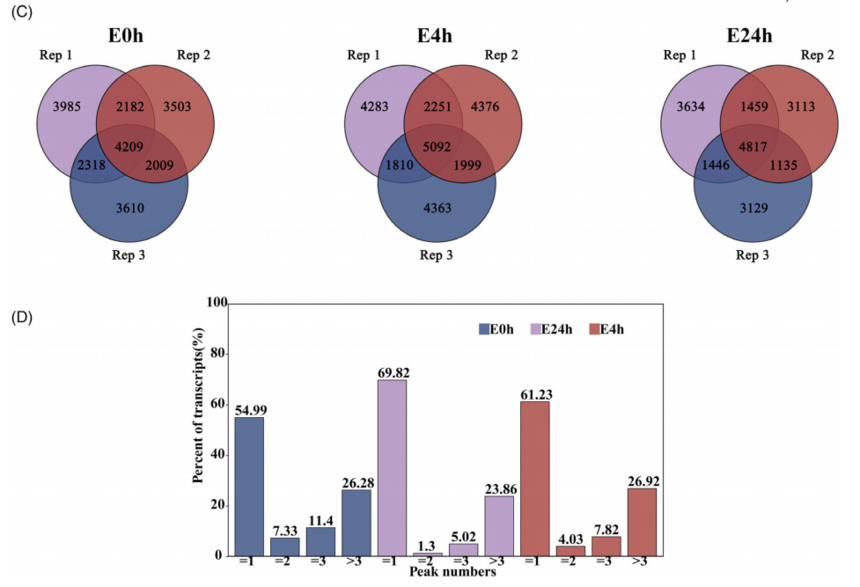 1756112664996531.png 图片4.png