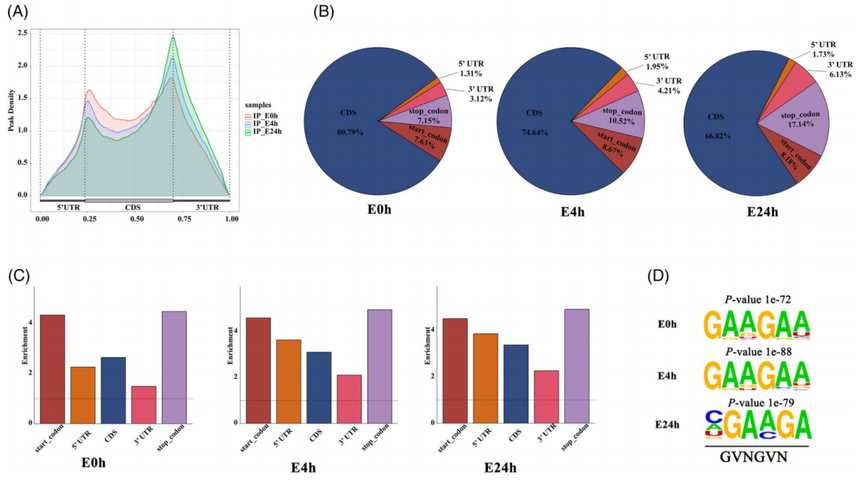 1756112682248145.png 图片5.png