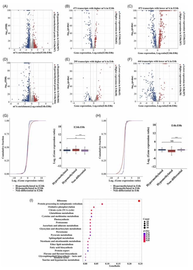 1756112693278809.png 图片6.png