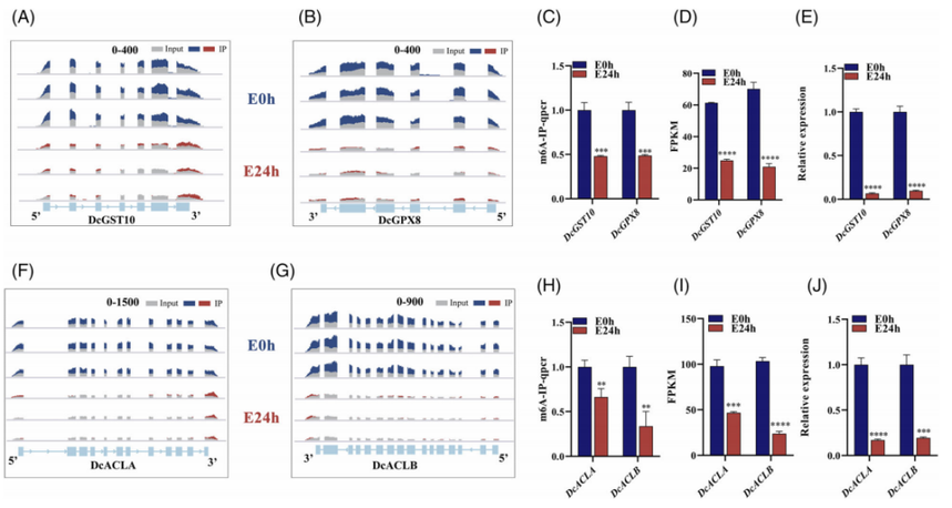 1756112703757655.png 图片7.png
