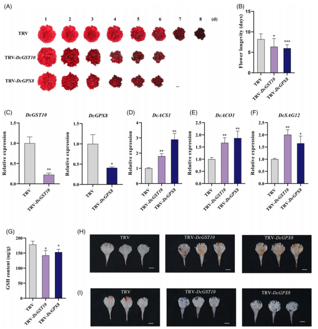 1756112714326655.png 图片8.png