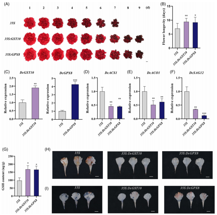 1756112725274423.png 图片9.png