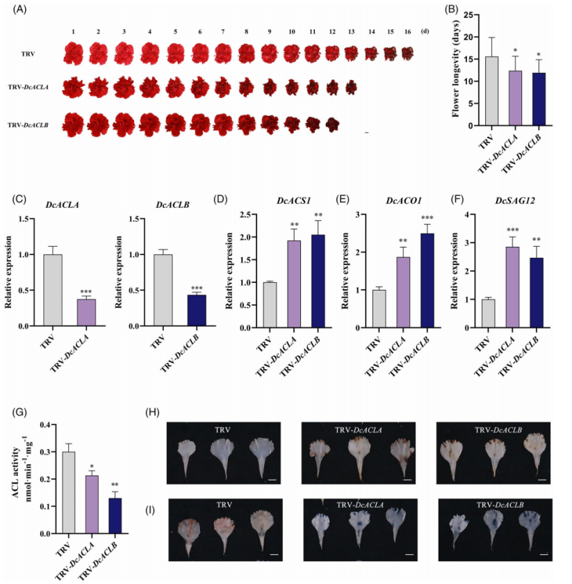 1756112736688601.png 图片10.png