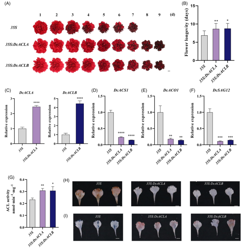 1756112746983838.png 图片11.png