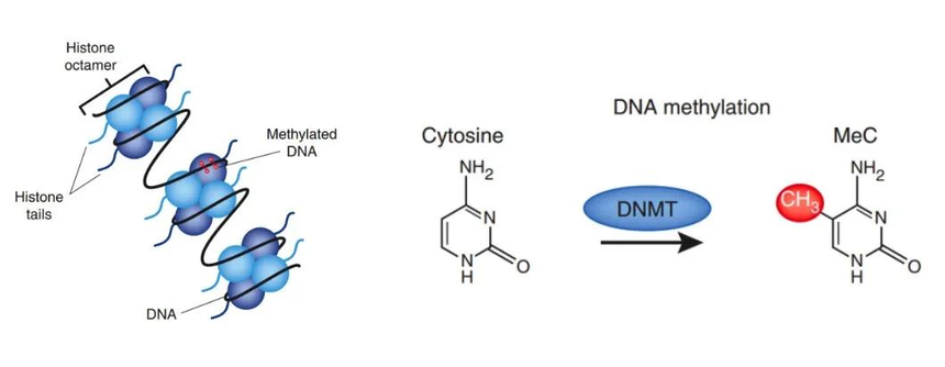1757064779841777.png 图片1.png