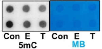 1757064789702144.png 图片2.png