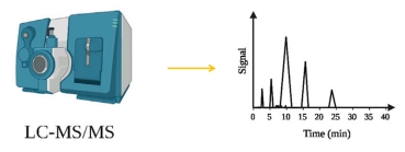 1757064842211575.jpg 微信图片_2025-08-22_151518_277.jpg