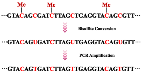 1757064868950441.png 图片3.png