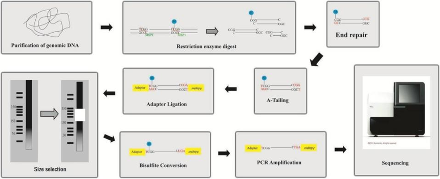 1757064878672249.png 图片4.png