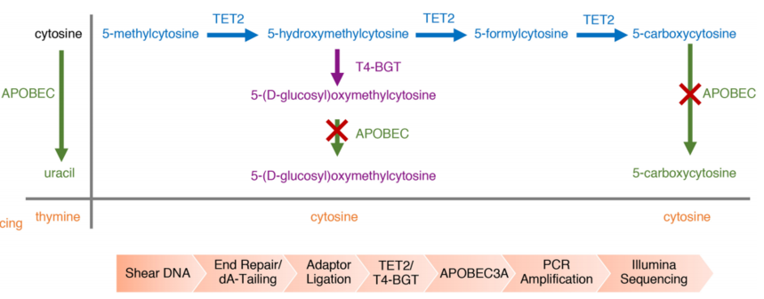 1757064890377255.png 图片5.png