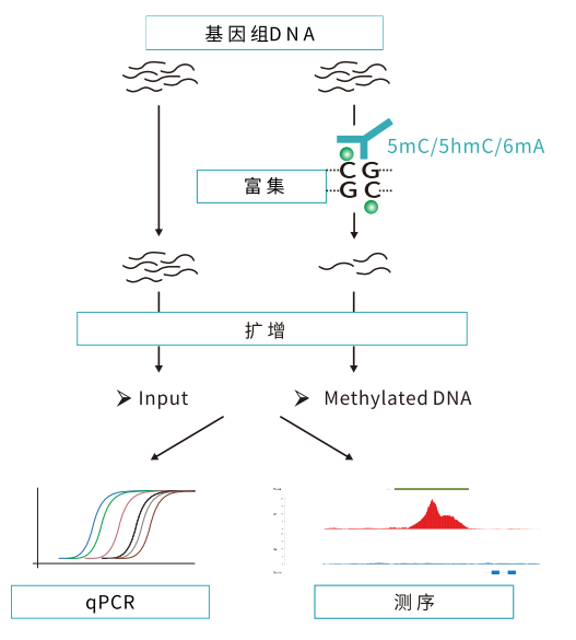 1757064901131800.png 图片6.png