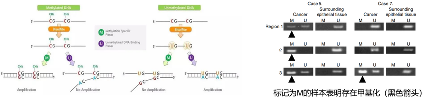 1757064914578075.png 图片7.png