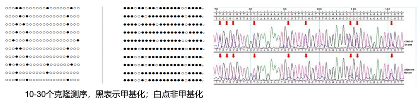 1757064924909443.png 图片8.png