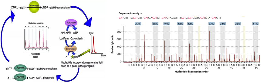 1757064935895196.png 图片9.png
