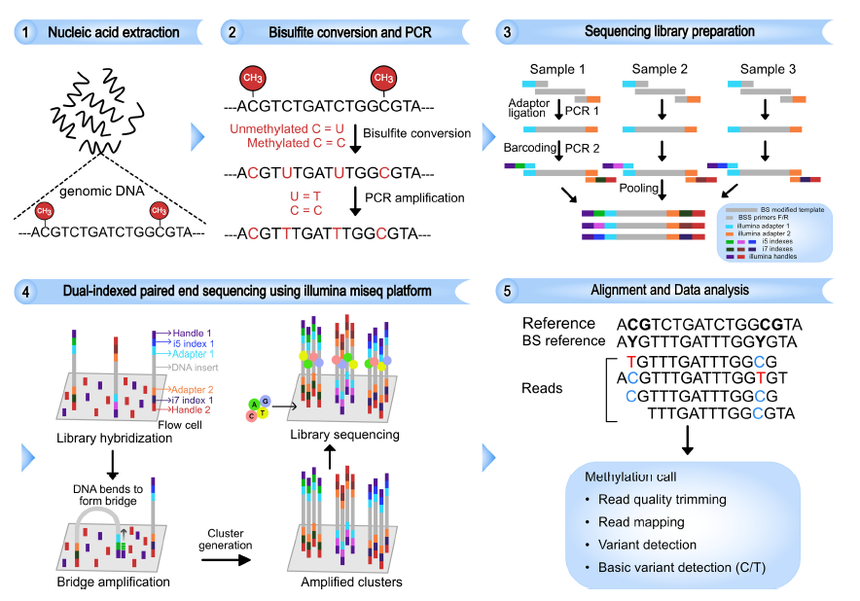 1757064948152253.png 图片11.png