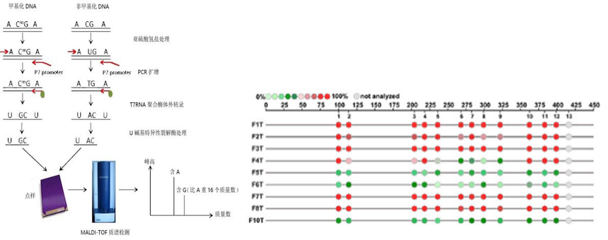 1757064969351264.png 图片1.png