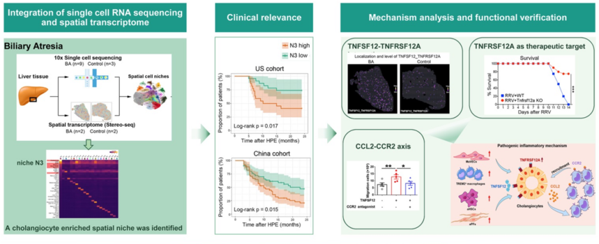 1757324892327440.png 图片6.png